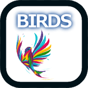 世界の野鳥